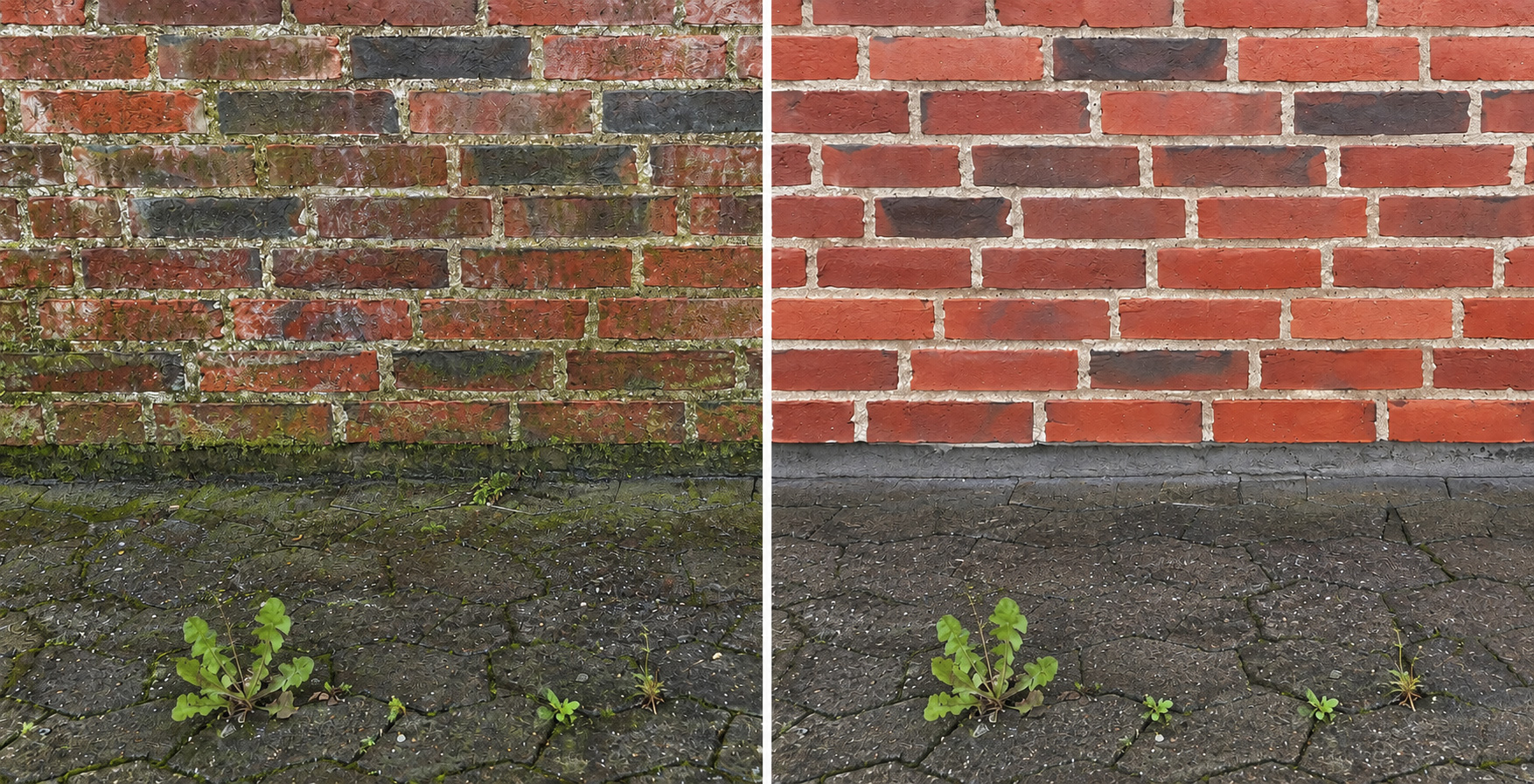 Rengøring af vintønder og tappeanlæg Rengør effektivt vintønder, tappeanlæg mm. med damp.